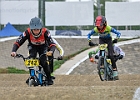 921H6623 bmx-tc-11-9-21